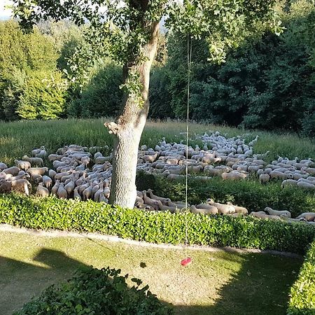 Ferienwohnung "Tecklenburger Augenblicke" Exteriér fotografie