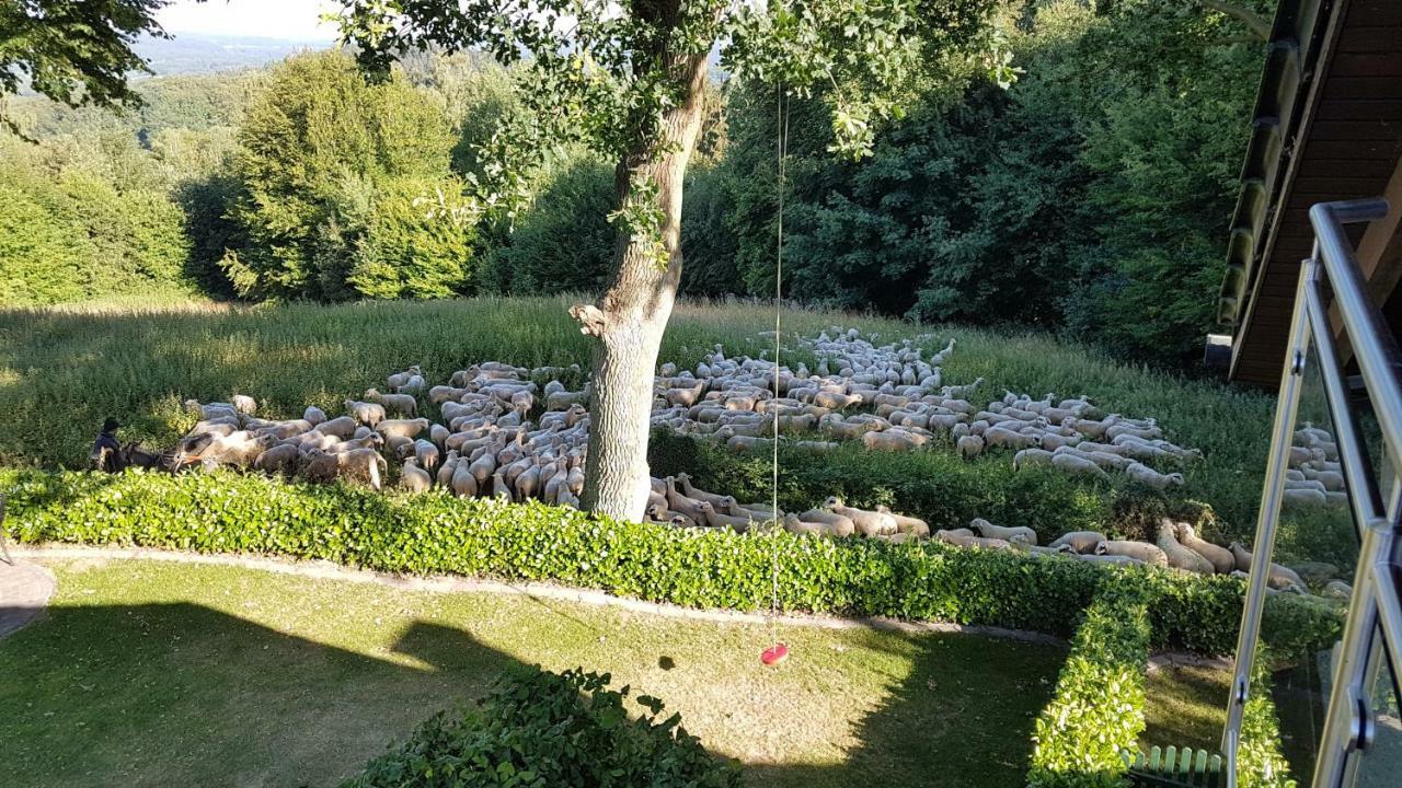 Ferienwohnung "Tecklenburger Augenblicke" Exteriér fotografie